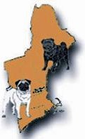 PugRescueNewEng's profile picture. Pug Rescue of New England (PRoNE): A non-profit 501(c)3 finding homes for abandoned & unwanted pugs in New England. Visit FB: http://t.co/rBrMWV8gZa.