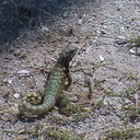 madison bernard - @madisonbernard3 - Twitter