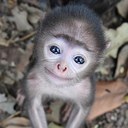 Tara Chilton - @tarachilton - Twitter