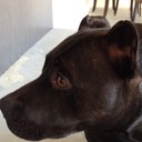 kenny pack - @packkp - Twitter