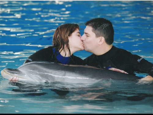 Alphonsepacino's profile picture. 