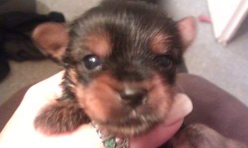 gemma3883's profile picture. 