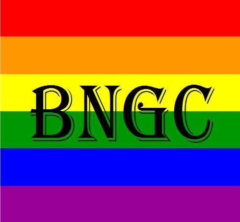 BiNationalUs's profile picture. 
