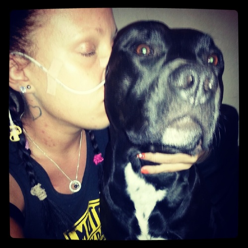cancer patient & pitbull lover