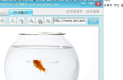 jeon930103's profile picture. 