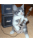 DionisisKrinas's profile image