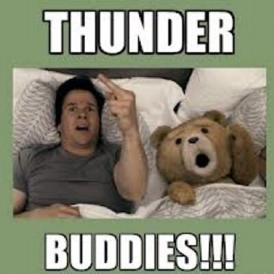 Image result for Thunder Buddies!