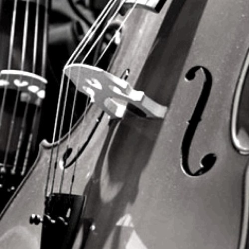 tukikage_saku's profile picture. 日々想うこと。