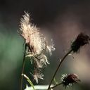 Manuel Butler - @ManuelButler1 - Twitter