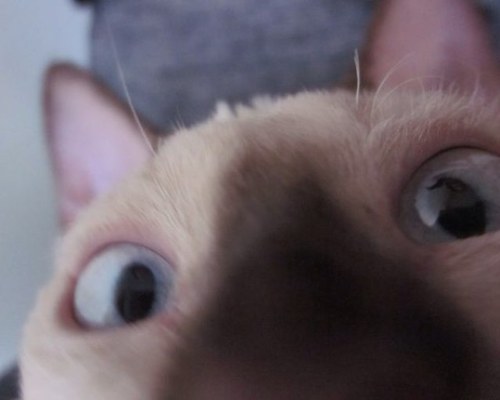 Emkat01's profile picture. 