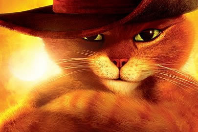 gatto_debotas's profile picture. Clínica Veterinária e Pet Shop Gatto de Botas