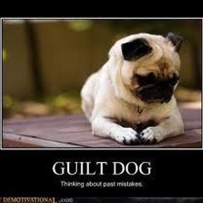 Funny Nonsense :) (@FunnyNonsense12) / Twitter Funny Nonsense :) (@FunnyNonsense12) / Twitter