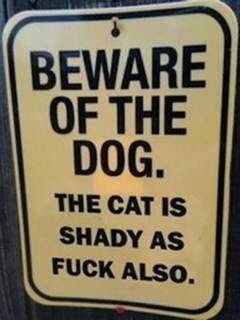 phoebetree82's profile picture. I don't exist