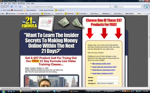 Affiliate Marketer and I run a traffic site.