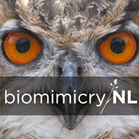 biomimicryNL (@biomimicrynl) 's Twitter Profile Photo