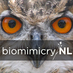 biomimicryNL (@biomimicrynl) Twitter profile photo