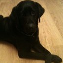 Robert Stratton - @robert_stratton - Twitter