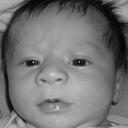 Lisa Marra - @deezwifey3 - Twitter