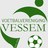 VVVessem's profile image