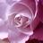 almarsa30's profile image