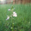 Hannah Chaney - @dancefreak8 - Twitter