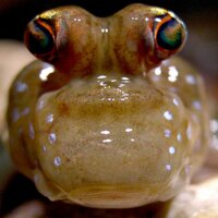 Deep Research (@thedeepresearch) 's Twitter Profile Photo Deep Research (@thedeepresearch) 's Twitter Profile Photo