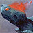 kade_mtg's profile image