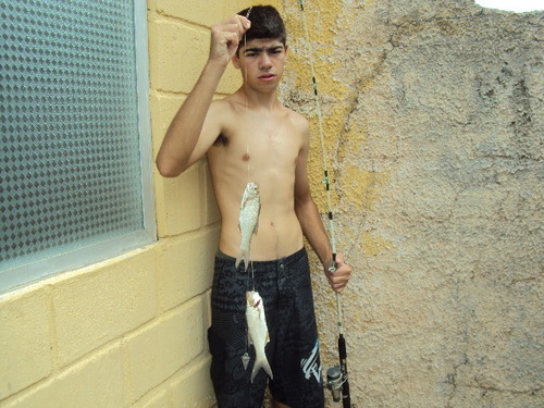 Nada a dizer.