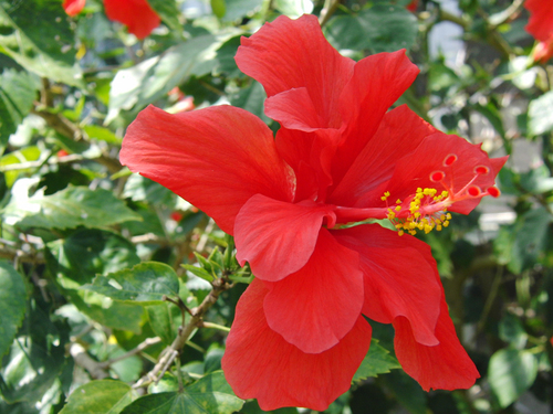 okinawa2go_cn's profile picture. 我们将为大家发布冲绳的旅行资讯，如有疑问欢迎随时垂询。