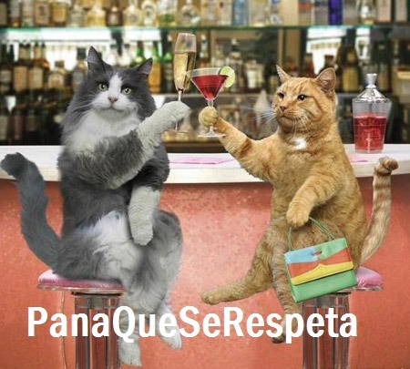 Los mejores Tweets sin compromiso alguno acerca de las anécdotas con tus amig@s y realidades del día a día .#PanaQueSeRespeta