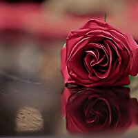 كـَيـمْؤ الٌمـطٌيريْ (@kromtmnytk) Twitter profile photo