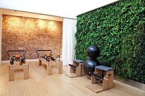 studio26nyc's profile picture. eco-friendly fitness + wellness studio offering pilates, personal training, yoga, physical therapy, massage and more. We help trainers + practitioners thrive.