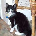 Kate Davison - @KateDavison5 - Twitter