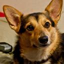 Amy Goldson - @AmyGoldson - Twitter