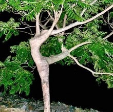 TIERRA DE HERMOSA NATURALEZA
Cuidemos a la madre tierra, a toda su flora, fauna, su aire, sus ríos y sus aguas que nos dan vida y salud... Busca la verdad.