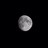 Zenone_di_Elea's profile image