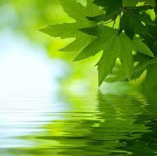 Eco_Journey's profile picture. I'm trying to improve our lifestyle to make it more eco friendly with small cost effective steps and I have chosen to share my journey and tips.