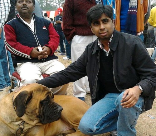 VivekKaushal333 Profile Picture
