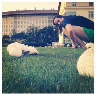 mushrooms_unite's profile picture. You'll find us where the lush grass of LSM meets the new walls of HHH. Oh, and we have a great view of Longstreet's fire place. #holler