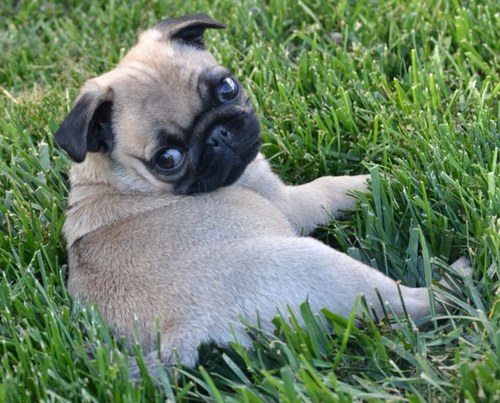 bdteach60's profile picture. 