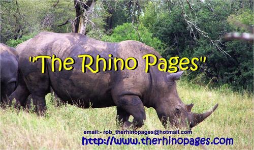 Rhino welfare and conservation. Utilizing the worldwide power of the media to create awareness and assistance against Rhino Poaching.