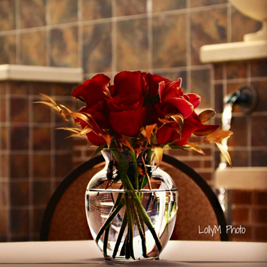 LisaK321's profile picture. Gentleness, self-sacrifice and generosity are the exclusive possession of no one race or religion. - Gandi