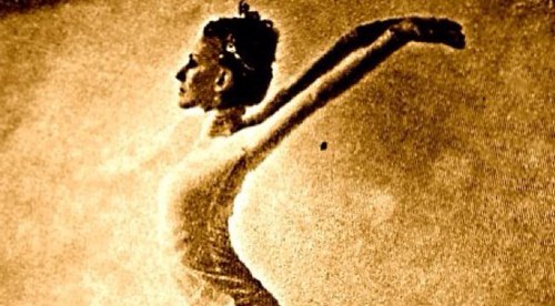 wolff_sarah's profile picture. 