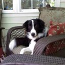 Eileen Vincent - @xEileenVincent - Twitter