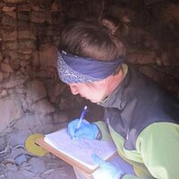 Maggie Hall (@ducksinwind) 's Twitter Profile