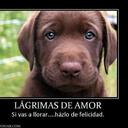 derek quiñones  - @Buenon98 - Twitter