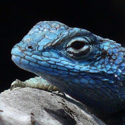 TikoGarcia26's profile picture. 