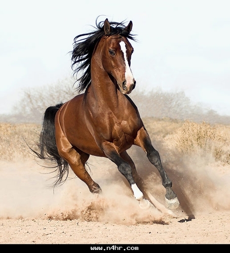 gsrgs1406's profile picture. 