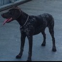 Víctor y Ruth - @victor_ruth - Twitter