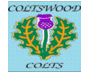 ColtswoodAthletic 99 (@coltswood1999) Twitter profile photo ColtswoodAthletic 99 (@coltswood1999) Twitter profile photo